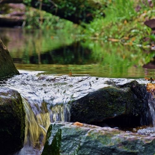 Water Sector