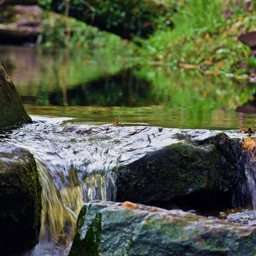 Water Sector
